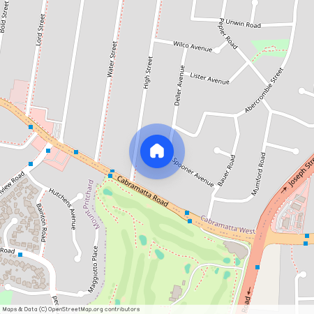21 Spooner Avenue, Cabramatta NSW 2166