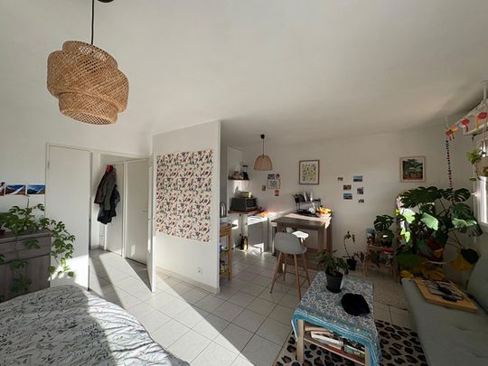 Location Appartement 1 pièce 36m² - Photo 1