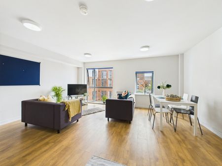 Room in a Shared Flat, Queensland Place, L7 - Photo 5