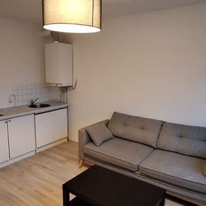 Appartement 26m² – 1 pièce – Le Pont de Claix - Photo 2