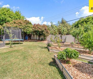 Beautiful Energy Efficient Home in Evatt - Photo 3