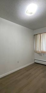 1 Bed 1 Bath - Apartment - Photo 3