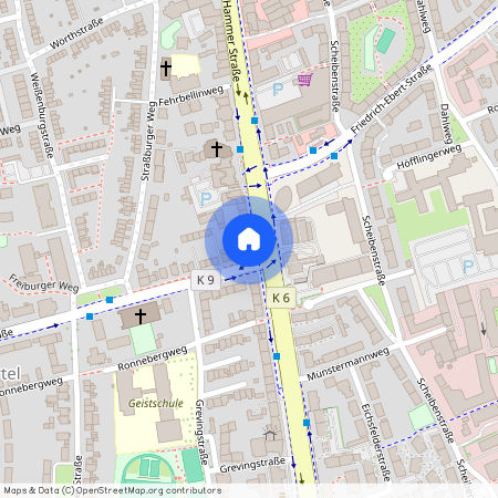 Hammer Str. 186, 48153 Münster (Westfalen) - Geist