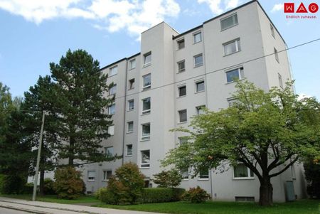 Wohnen in Linz/Oed – 2-Zimmer-Wohnung mit Lift, ab sofort verfügbar! - Photo 3