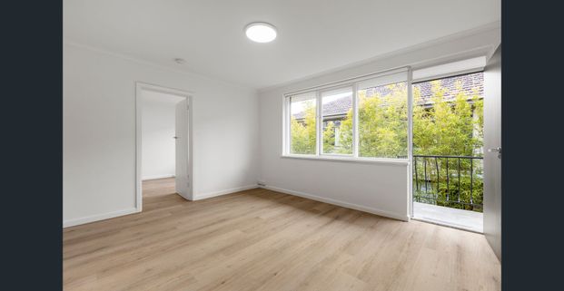 Fully Renovated & Light-Filled Two Bedroom Apartments - Photo 1