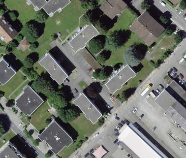 4 Zimmer, 77 m², EG - Foto 3