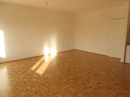 Ideal für Singles - sonnige Garconniere am Stadtplatz 40, Top 12 ab sofort zu vermieten - Photo 3