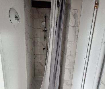 Appartement T1 Metz à louer - Photo 2