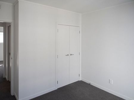 New warm apartment in the heart of Newtown - Photo 4