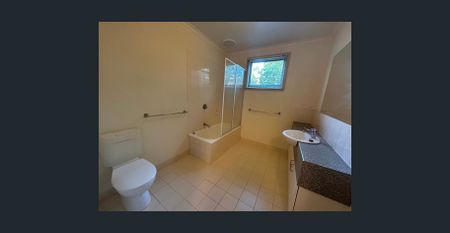 What A Find! - Photo 4