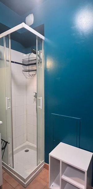 Location Appartement 1 pièce 16m² AVIGNON 84000 - Photo 1