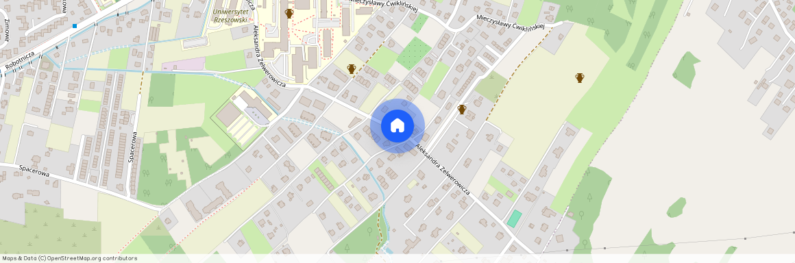 ul. Aleksandra Zelwerowicza, Zalesie, Rzeszów, podkarpackie