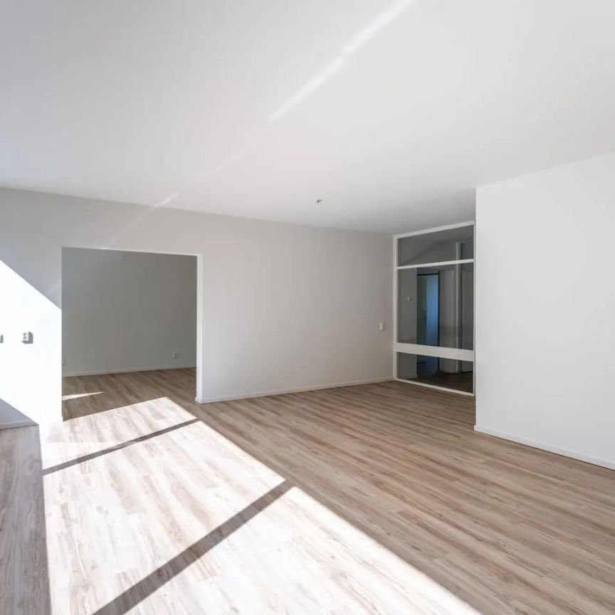 Appartement d'angle de 4 pièces Verdiweg 57, Amersfoort - À louer - Photo 1