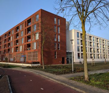 Kamerlingh Onnespark 14 - Photo 6