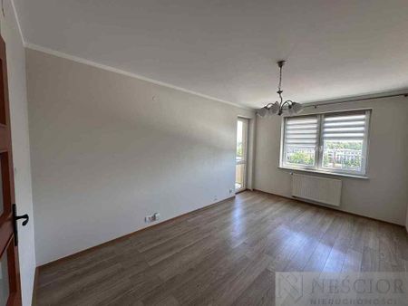 Siedlce - Zdjęcie 2