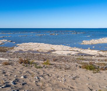 For Lease - 35 St. Clair Street, Collingwood, Ontario - Photo 4