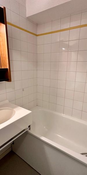 Location Appartement 1 pièce 19m² LE BOURGET DU LAC 73370 - Photo 1