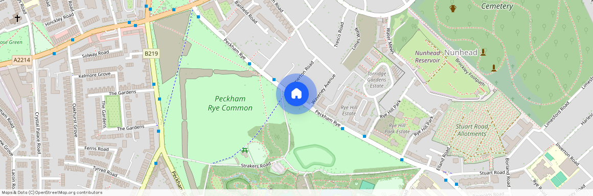 Peckham Rye, Peckham Rye