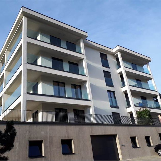 Appartamento 2.5 locali con terrazzo - Foto 1