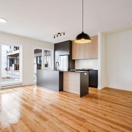 5 1/2 - Montréal (La Petite-Patrie) - $2 695 /mois - Photo 4