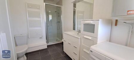 Location Appartement 1 pièce 26m² ECHIROLLES 38130 - Photo 4