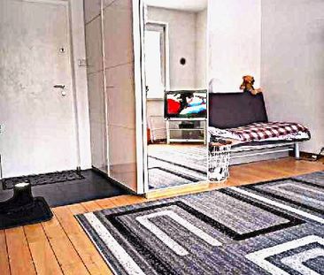 STEGNY - 1 POK. - Photo 2