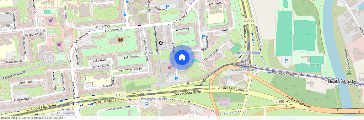 Bodestraße 7, 06122 Sachsen-Anhalt - Halle