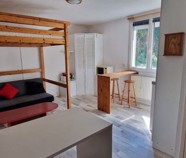 Location Appartement 1 pièce 19m² - Photo 3