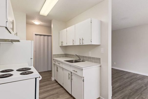 Renovated Suite - 3 Bedroom - Photo 1