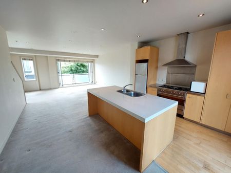 Boarder Of Remuera and Broadway - Photo 3