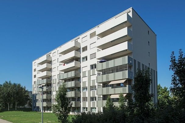 Your new apartment – your new living paradise - Foto 1