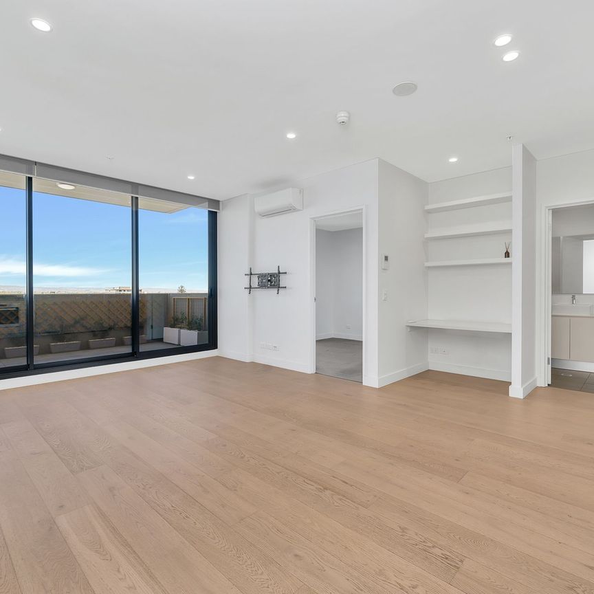 Luxury City Living with Parklands Views - Photo 1