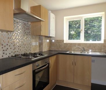 Ainsley Gardens, Boyatt Wood - Photo 4