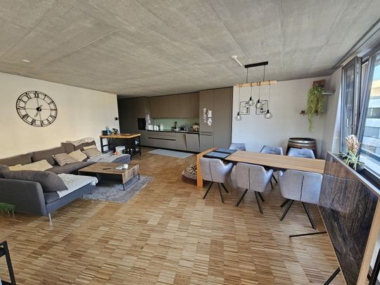 31/2-ROOM APARTMENT IN ZUCHWIL (DIM), FURNISHED, TEMPORARY - Photo 1