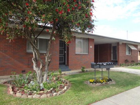 No Car? No Problem! One Bedroom Unit In Central Albury - Photo 3