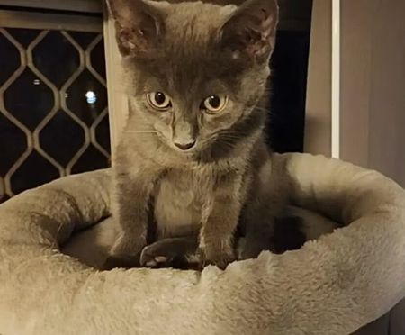 Deception Bay - Photo 2