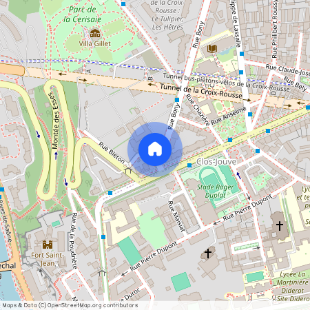 5 RUE ROUSSY, LYON 4EME ARRONDISSEMENT Bony Bonnet