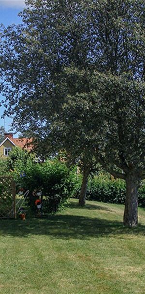Thore Petregatan 19 B - Photo 1