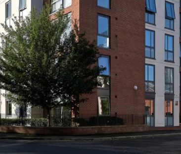 Accessible Gold Ensuite - Photo 6