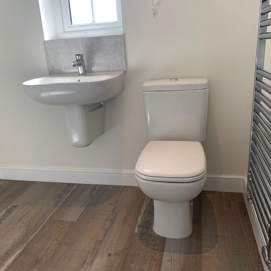 3 bedroom House To Let - Photo 1