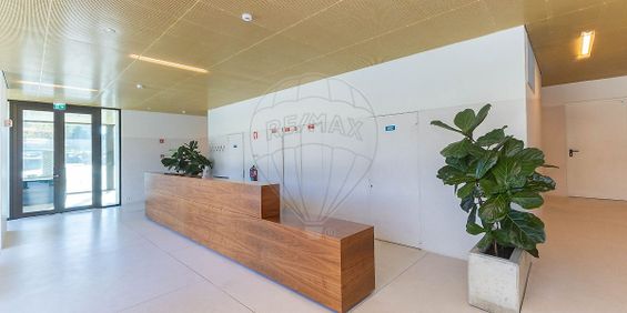 Apartamento T3 em Porto - Photo 3