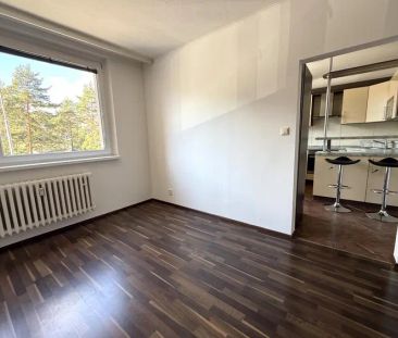 PRONÁJEM KRÁSNÉHO BYTU O DISPOZICI 2+1 S LODŽIÍ A SKLEPEM V BRNĚ-ŘE... - Photo 5