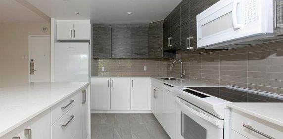 2 CH - 1 SDB - Montréal - $2,395 /mo - Photo 2