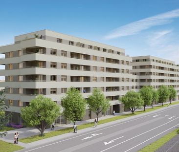 2.5 Zimmer, 51 m², 3. Stock - Photo 5