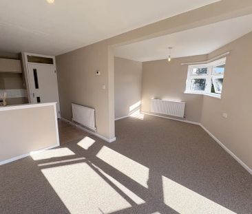 Holly Place - Photo 4