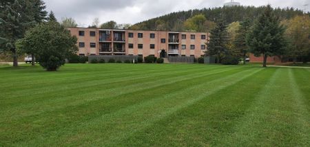 For Lease - 15 Wellington Rd 124 N/A Unit# Apt #20, Erin, Ontario - Photo 2