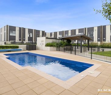 90/235 Flemington Road, Franklin ACT 2913 - Apartment For Rent | Do... - Photo 5