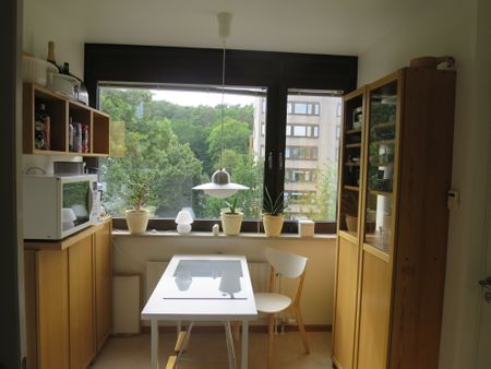 Vegagatan, Göteborg - Foto 4