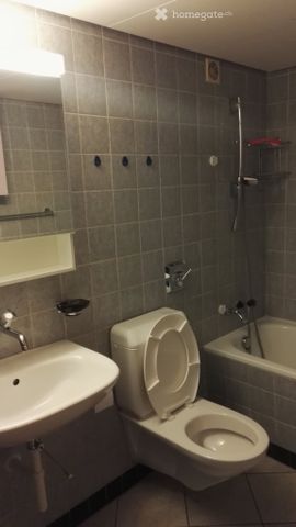 Sie suchen eine aussergewöhnliche Parterrewohnung - Foto 3