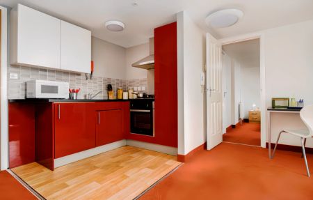1 Bedroom Student Apartment - Photo 5